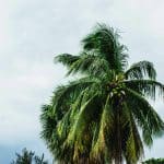 Climate Change Education: Preparing for Environmental Challenges