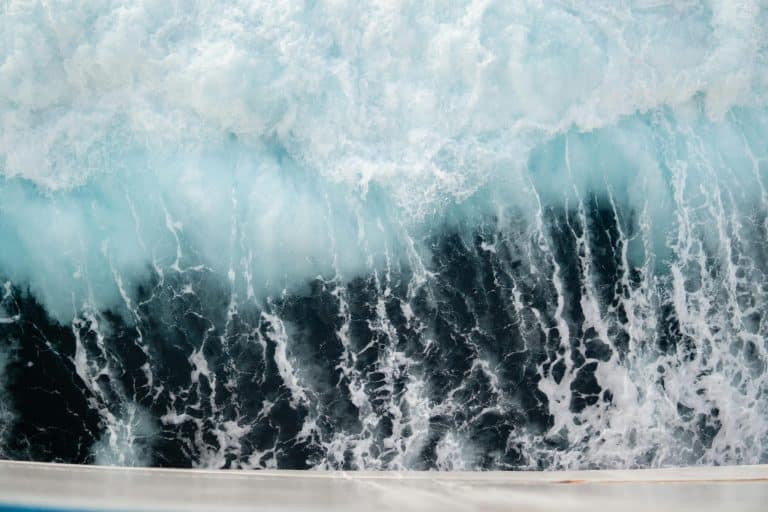 Turquoise Tidal Wave: The +8% Rise in Oceanic Blues This Summer