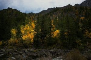 Mount Hood and Columbia River Gorge: The Best of Pacific Northwest