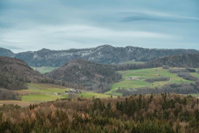 Rural Education Access: Overcoming Geographical Barriers