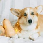 Cute Sportswear: When Athletic Meets Adorable This Season