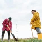 The Role of Community Land Trusts in Affordable Housing