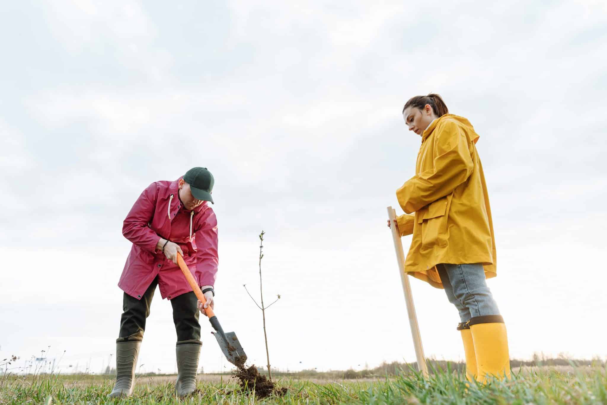 The Role of Community Land Trusts in Affordable Housing