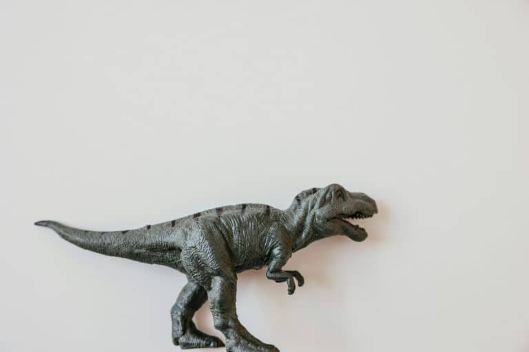 Addressing Disadvantage Gaps in Educational Outcomes