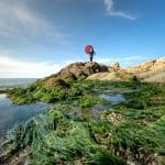 From Pool Tiles to Ocean Depths: Water-Inspired Patterns in Fashion