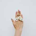 Fish-Shaped Accessories: The Quirky Trend Up 50% in Searches