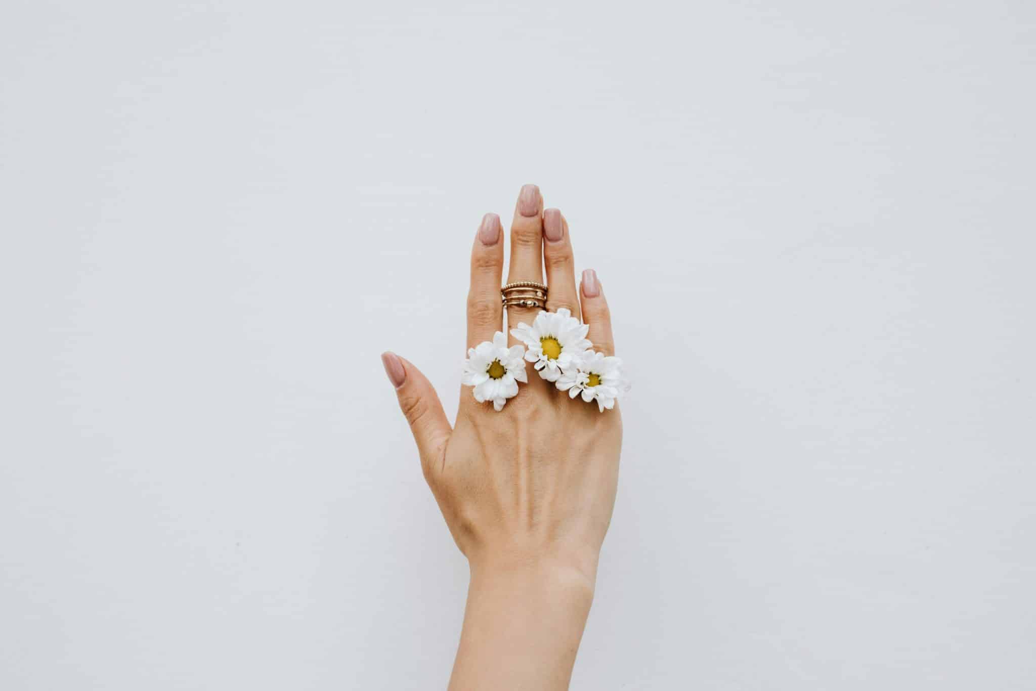 Fish-Shaped Accessories: The Quirky Trend Up 50% in Searches