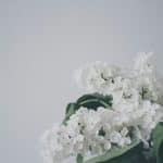 Plant Coral and Mangroves: Participatory Conservation in Fiji