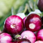 Regenerative Farming: The Future of Sustainable Food Production