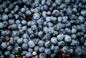 Food and Cultural Identity: Preserving Heritage Through Cooking Techniques
