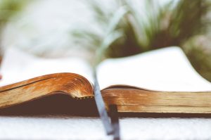 The Art of Building a Home Library: Strategic Book Buying