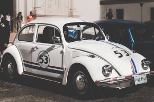 Short Transportation Routes: The Environmental Impact of Local Sourcing