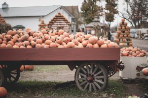 Planning the Perfect Road Trip Through New England's Fall Foliage