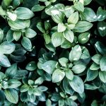 The 'Higher for Longer' Interest Rate Era: What It Means for Homebuyers