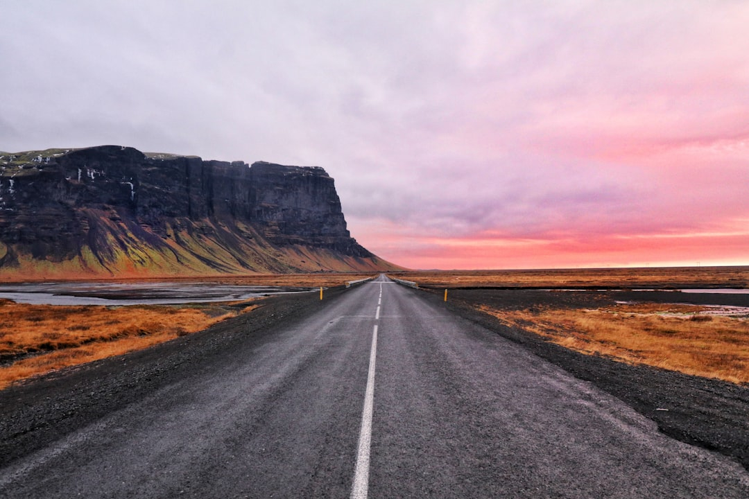 The Evolution of Culinary Tourism: Traveling Through Taste