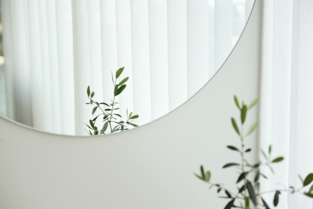 Interior Cleaning Tips for a Showroom-Fresh Car