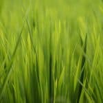 Green Travel in 2025: Reducing Your Carbon Footprint Abroad